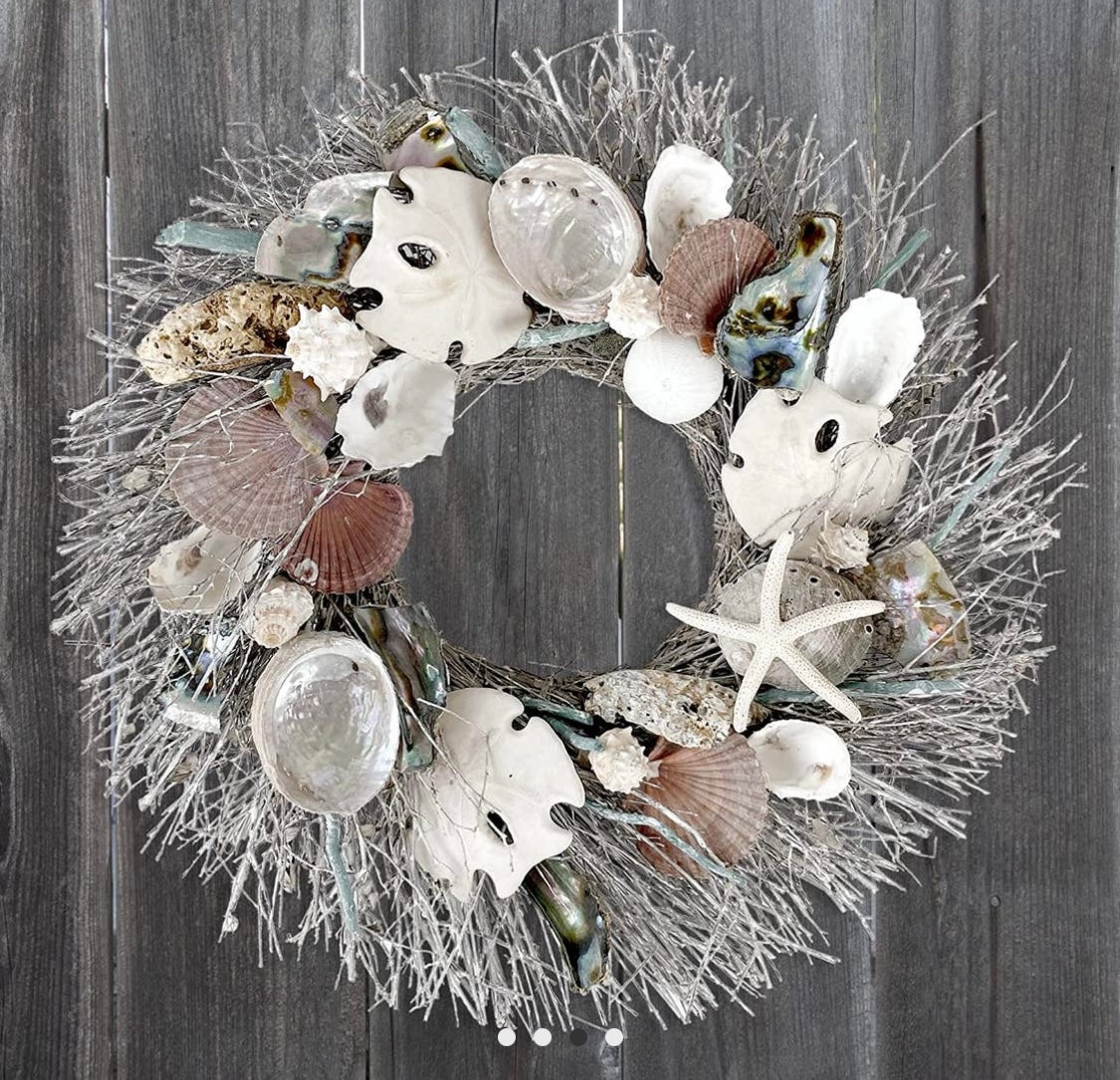 Charleston Abalone & Sand Dollar Coastal Seashell Wreath