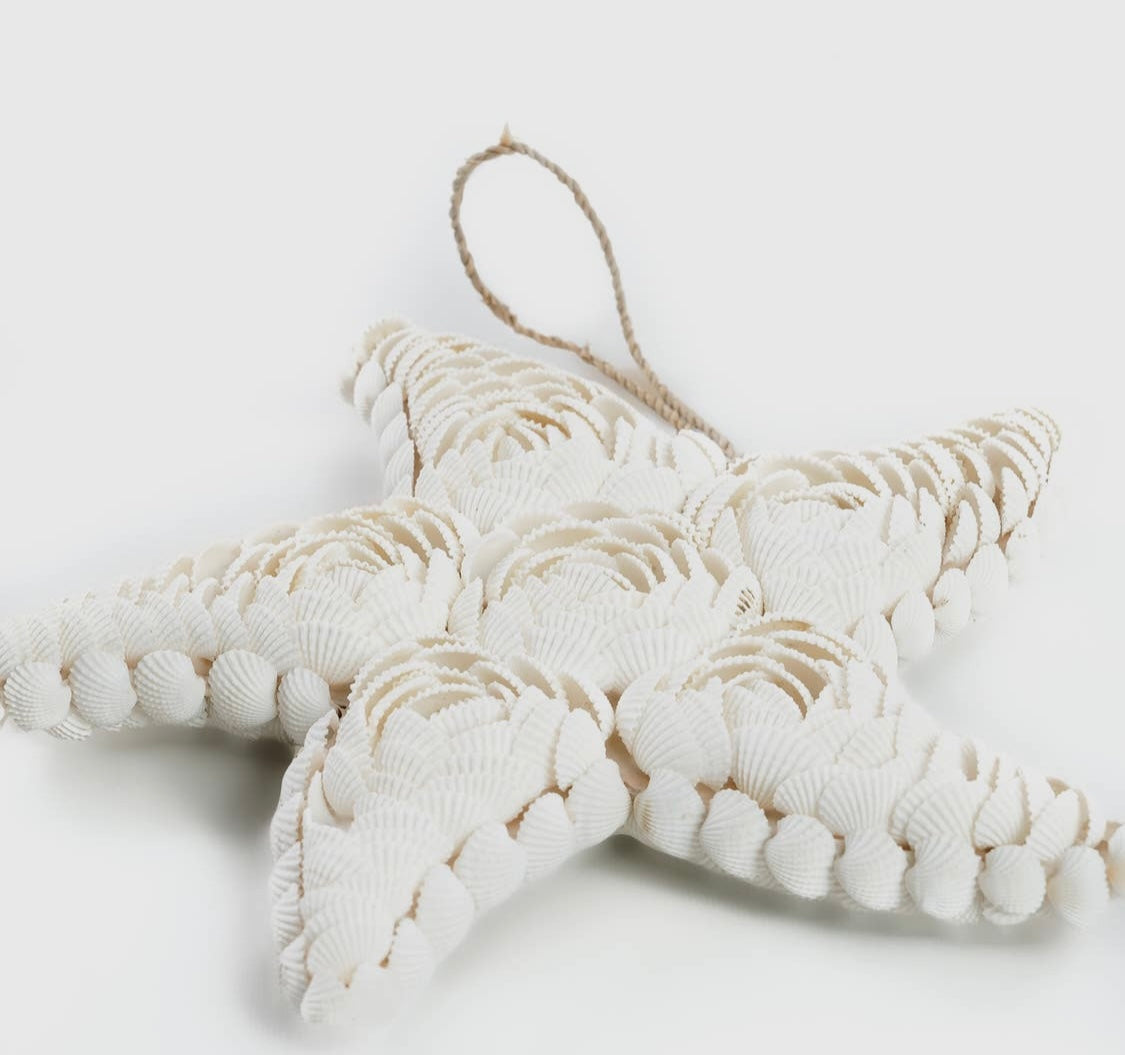 Coastal Seashell Starfish