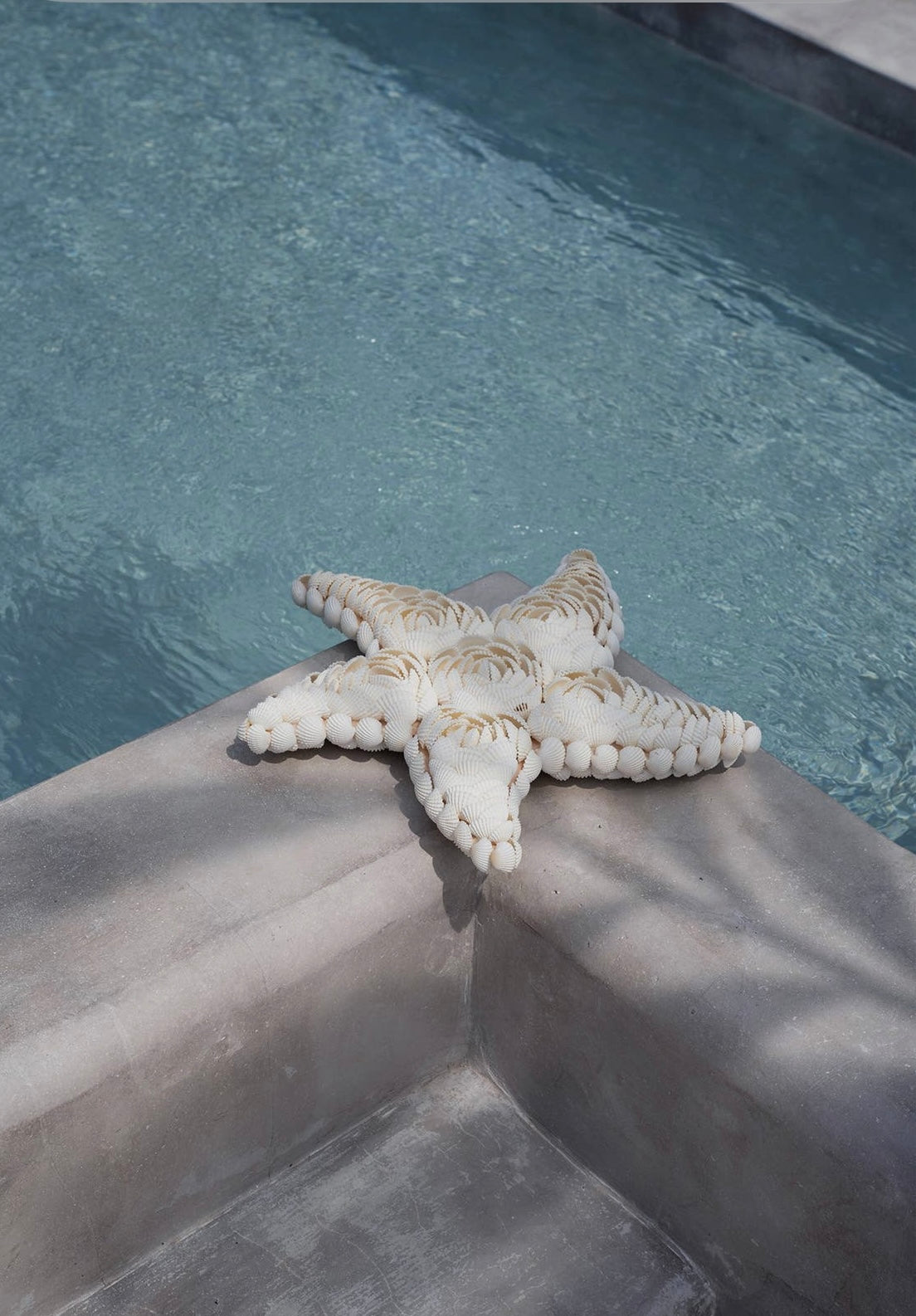 Coastal Seashell Starfish