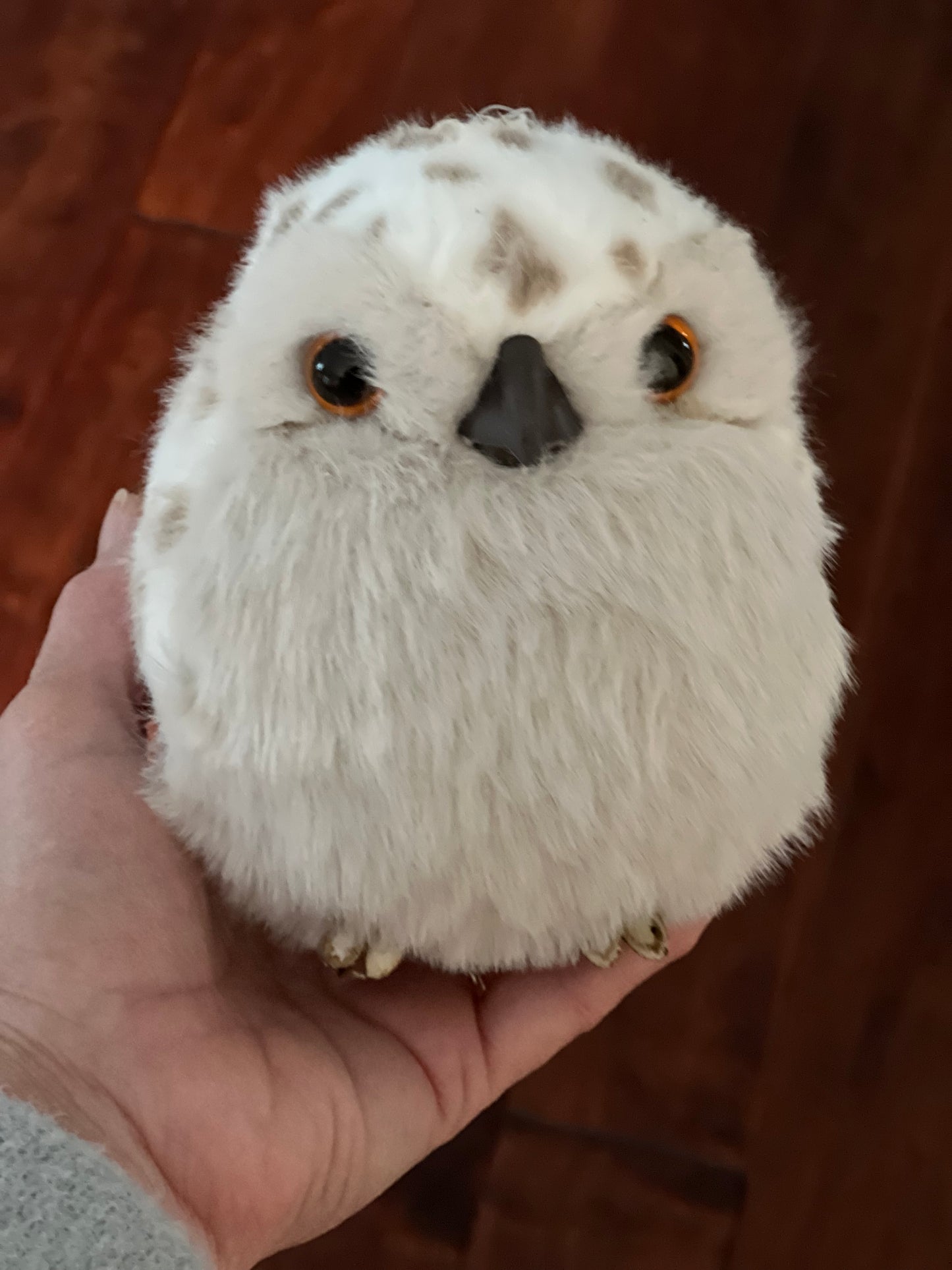 White Spotted Owl - Fluffy and Soft