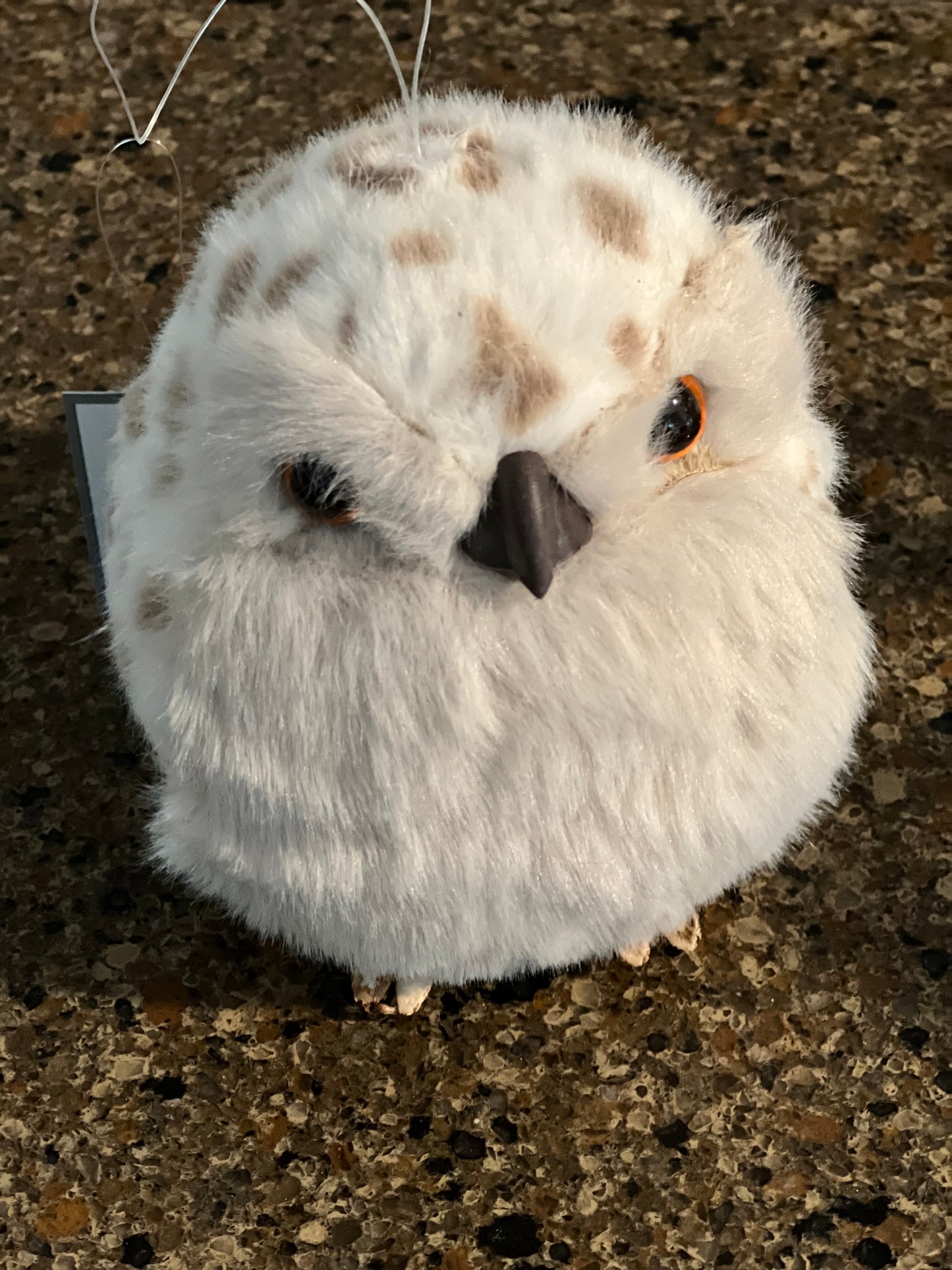 White Spotted Owl - Fluffy and Soft