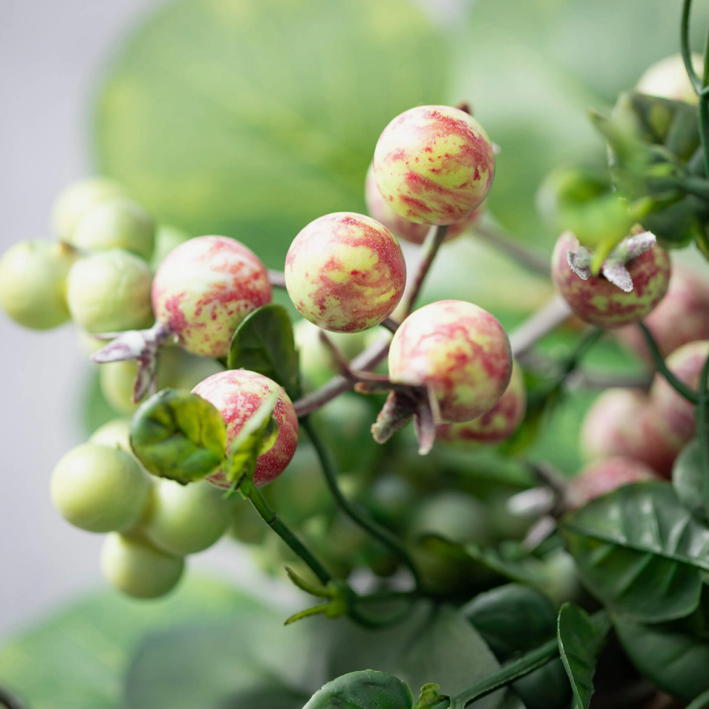 Cypress Garden Berry Wreath