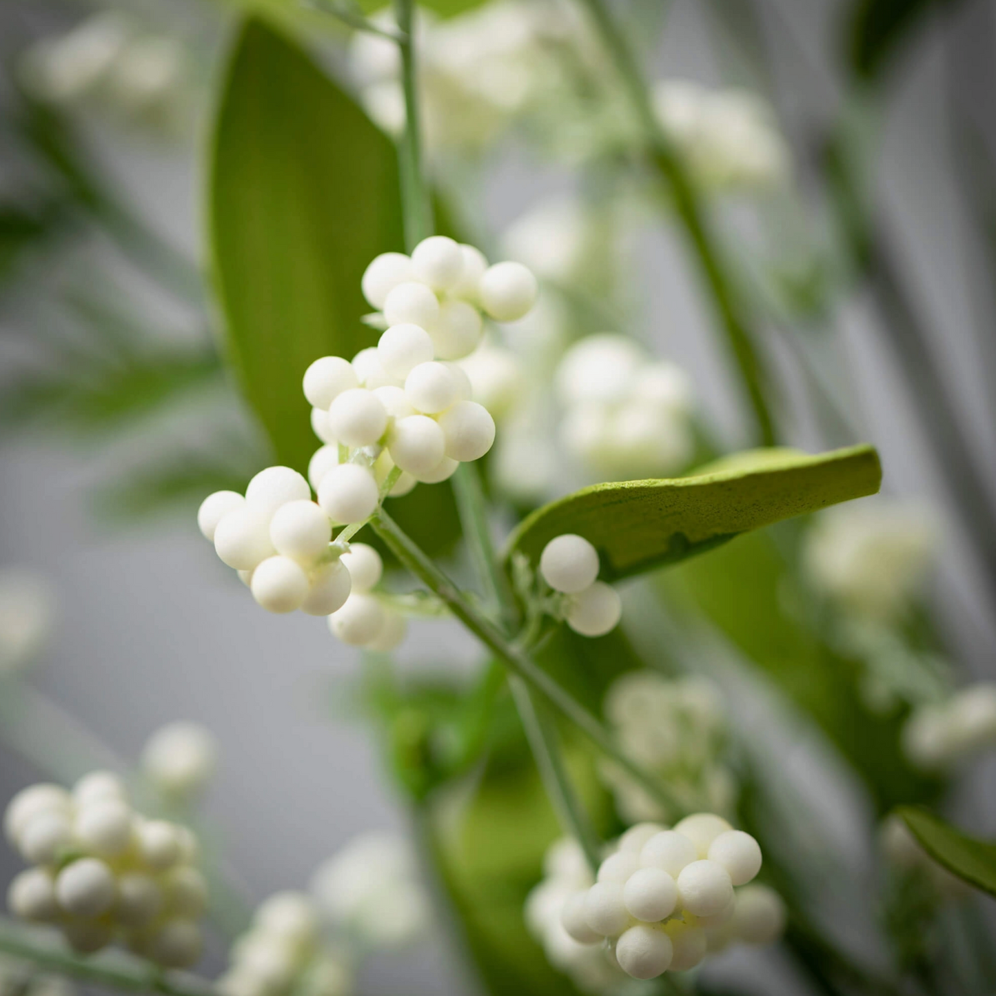 Lush Leaf Berry Bush