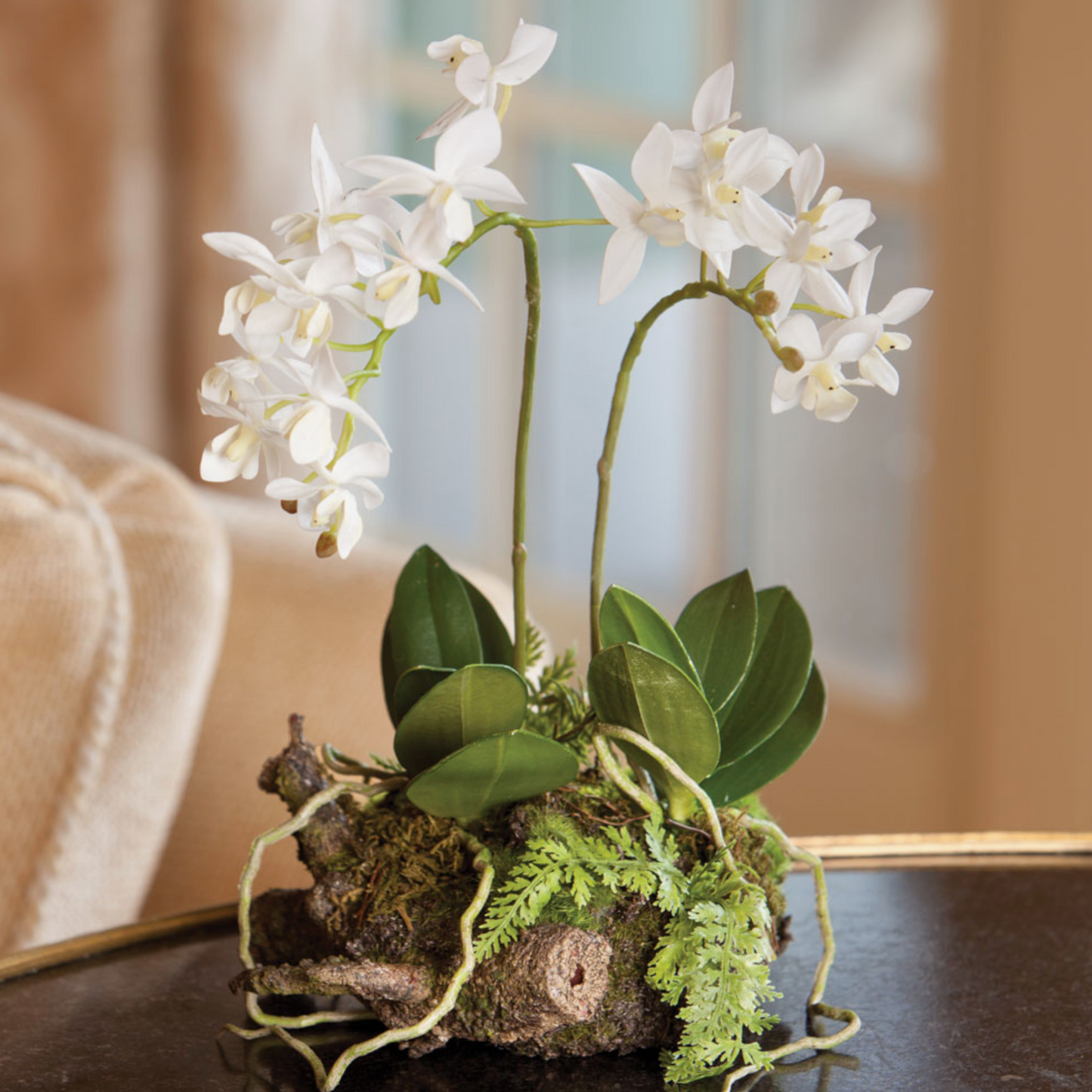 Mini Dendrobium with Rustic Drop-In