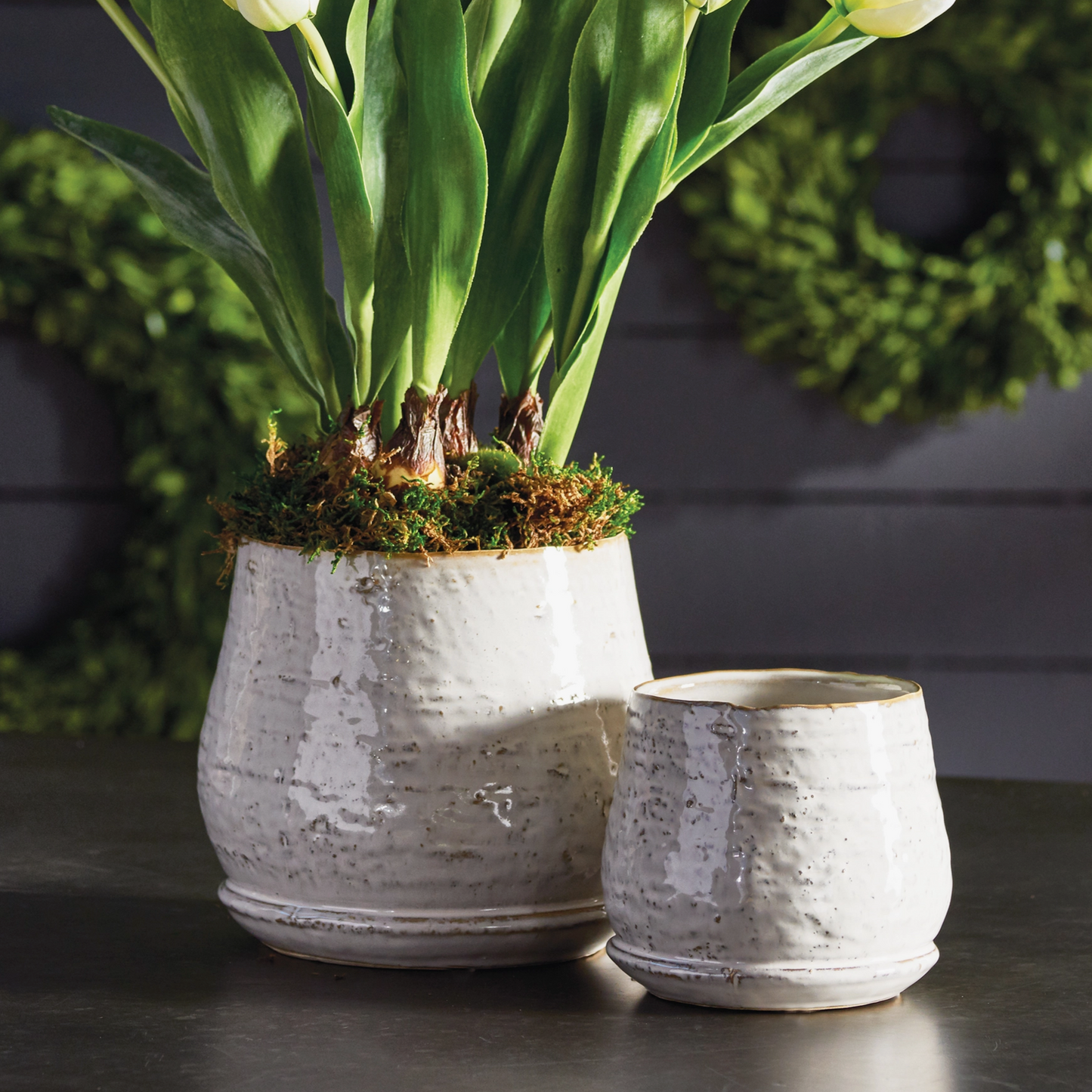 Quincy Pots, Set of 2