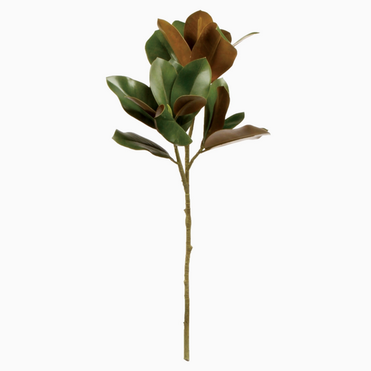 Grand Magnolia Leaf Stem - 32"