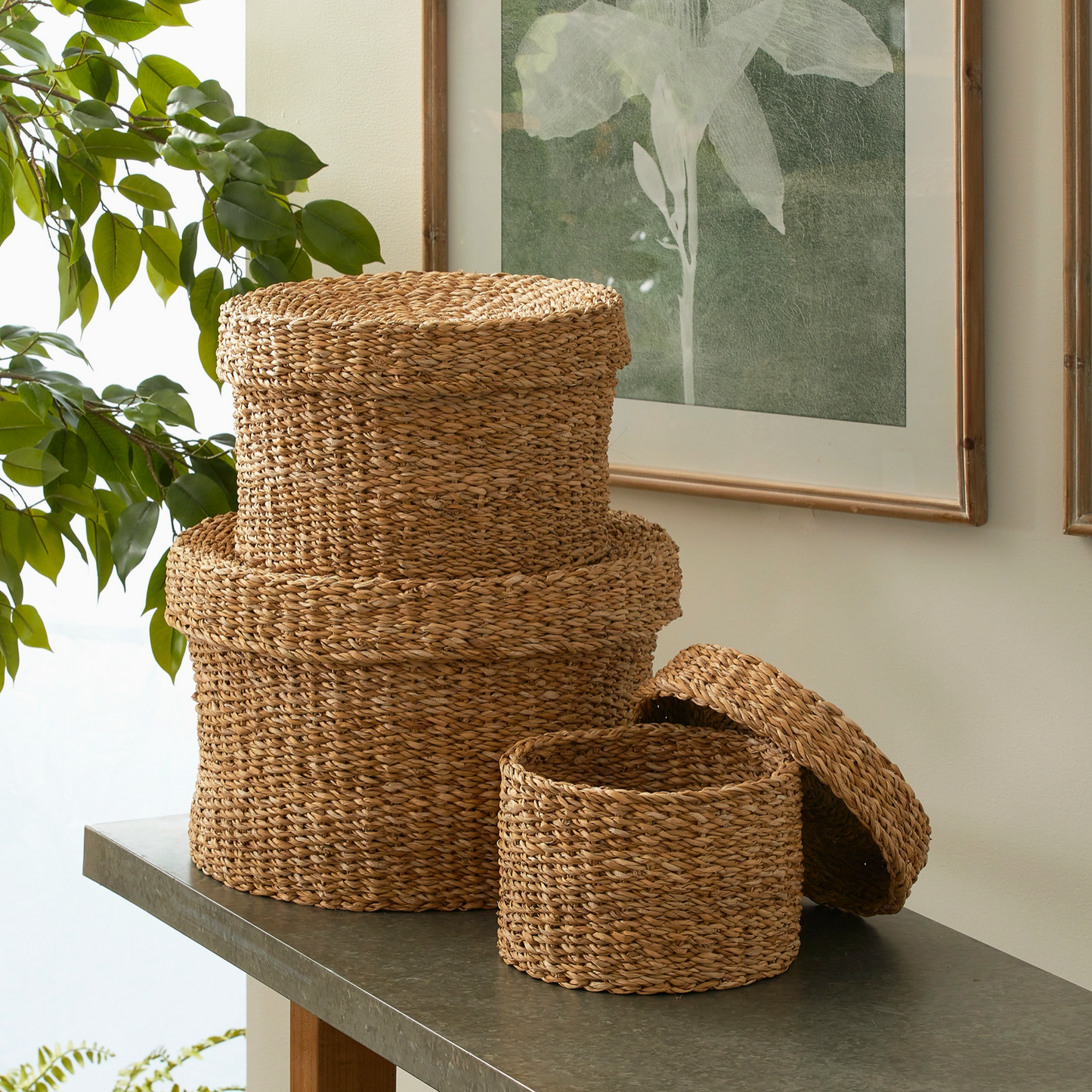 Seagrass Lidded Baskets, Set of 3