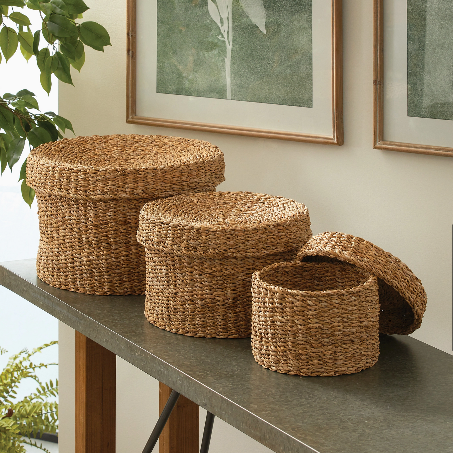 Seagrass Lidded Baskets, Set of 3