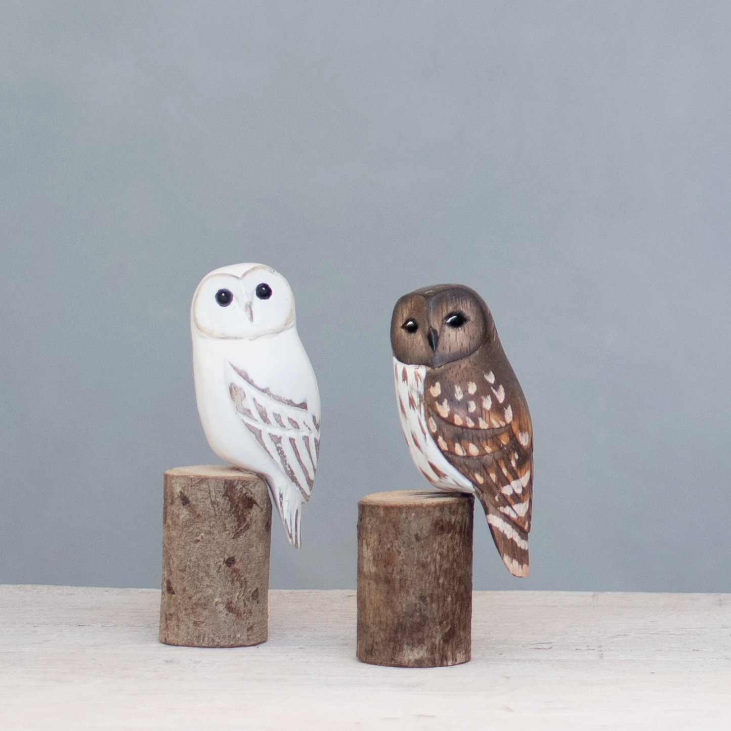 Barred Owl - Miniature