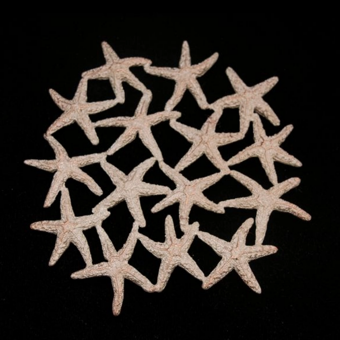 Starfish Trivet - Michael Michaud Table Art Collection