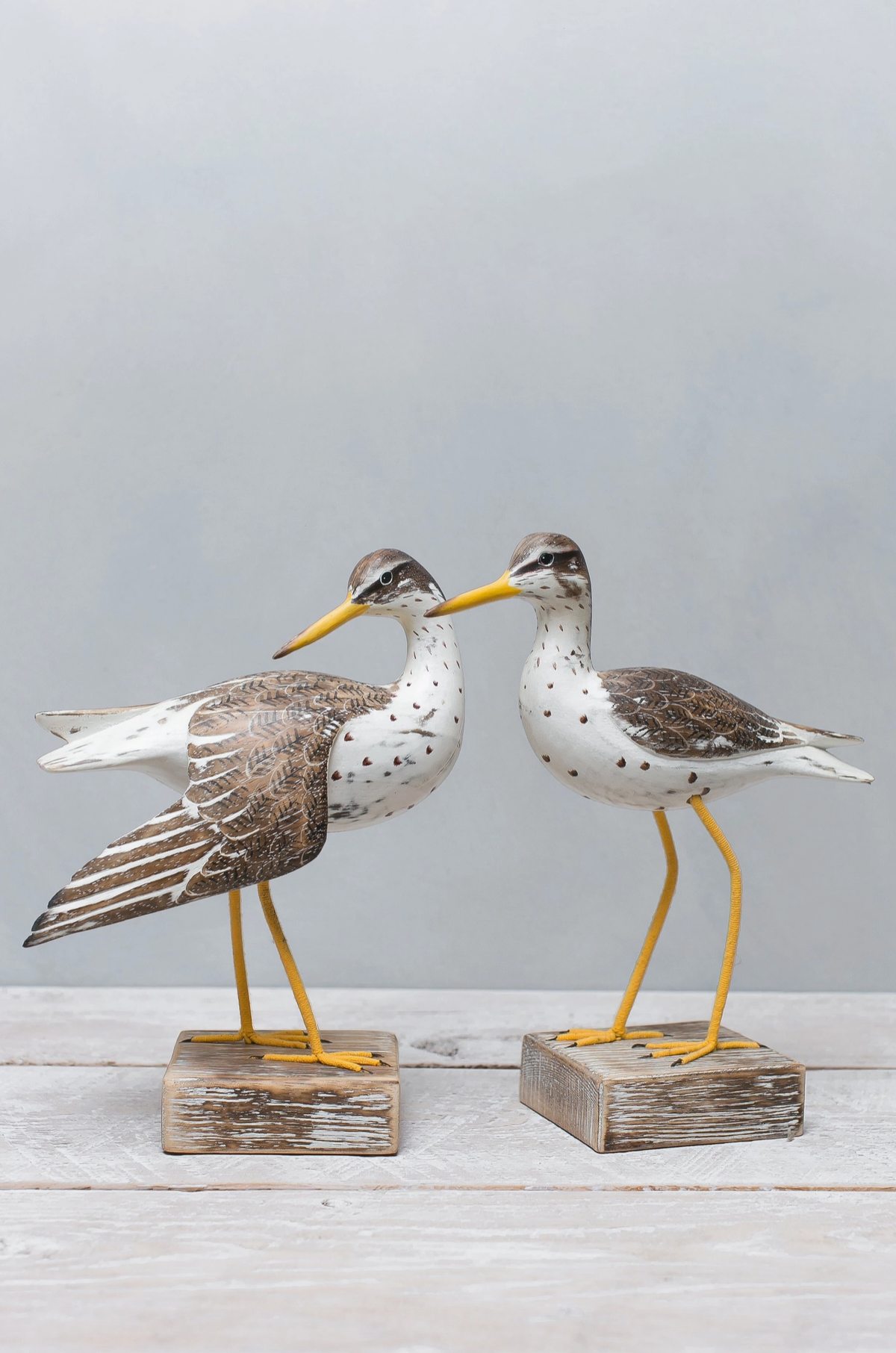 Spotted Wingdown Sandpiper