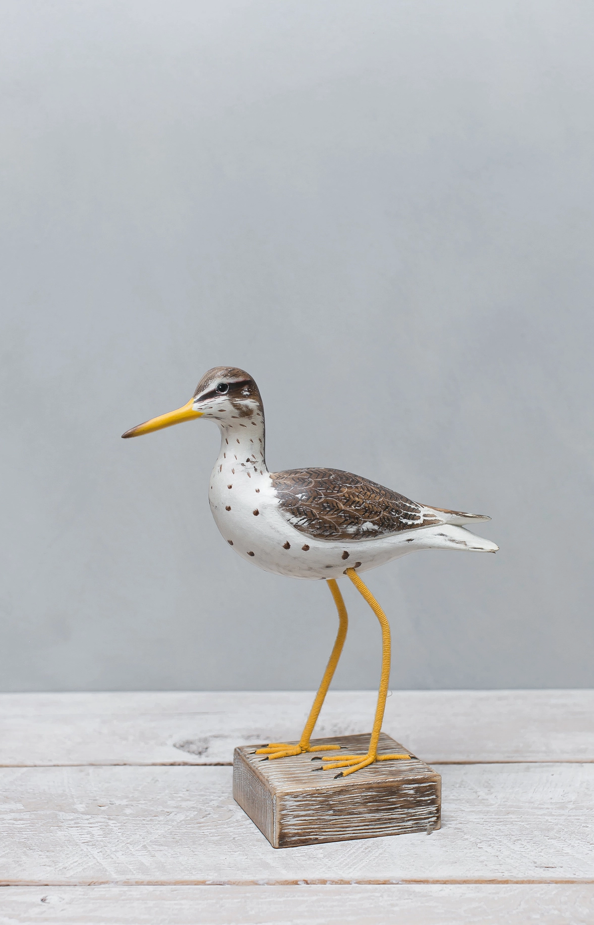 Spotted Sandpiper Straight